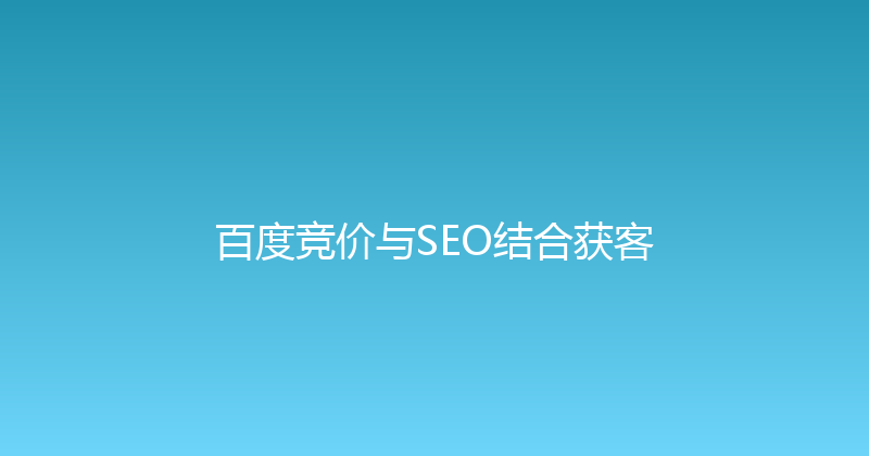 百度竞价与SEO结合获客 封面图
