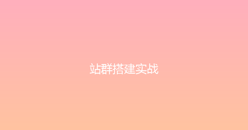 站群搭建实战 封面图
