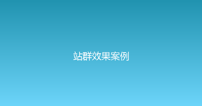 站群效果案例 封面图