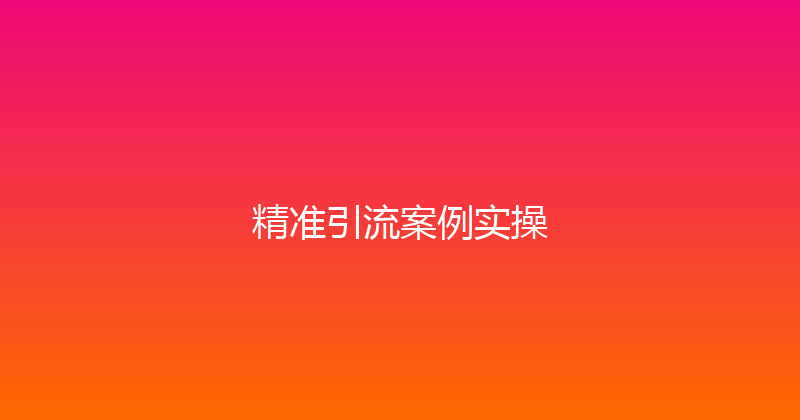 精准引流案例实操 封面图