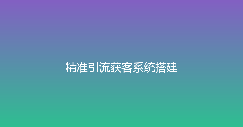 精准引流获客系统搭建 封面图